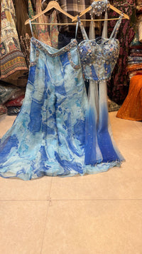 Indo Western Organza Flora Print Dress